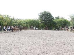 IMG_1265_web
